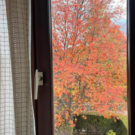 3 Hab, Wifi, Piscina, Padel *